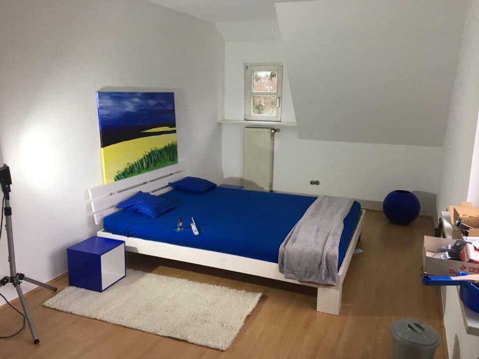 Ferienimspessart Og Apartment Bad Soden-Salmuenster Ngoại thất bức ảnh