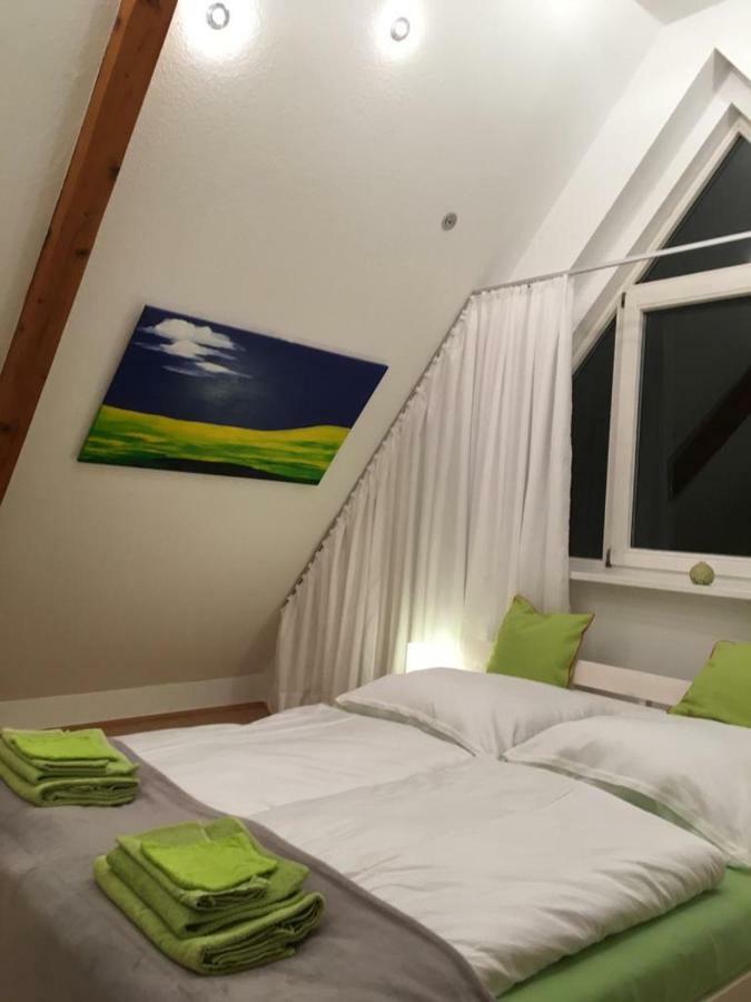 Ferienimspessart Og Apartment Bad Soden-Salmuenster Ngoại thất bức ảnh